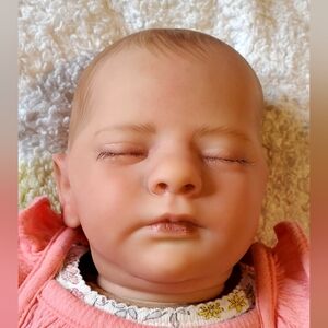 Artist quality painted reborn doll